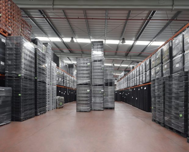 ventajas-palets-plastico-vs-madera-almacen-pallets-ribawood
